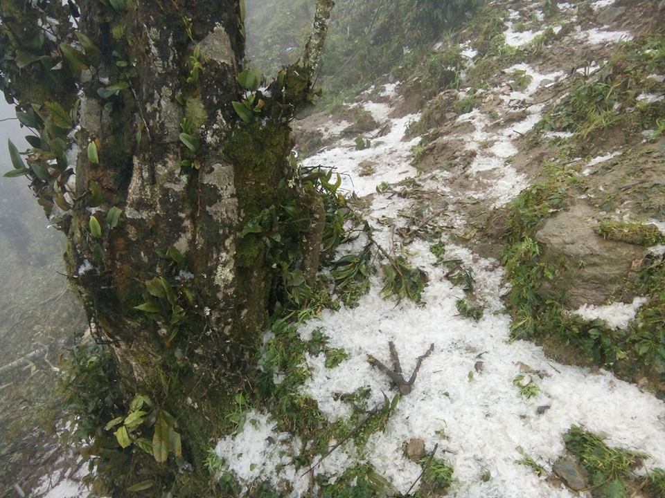 Thiếu nữ huyền ảo trong băng tuyết đỉnh Tà Xùa